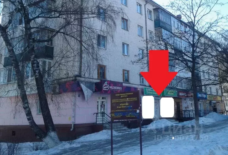 Помещение свободного назначения в Орловская область, Орел ... - Фото 1