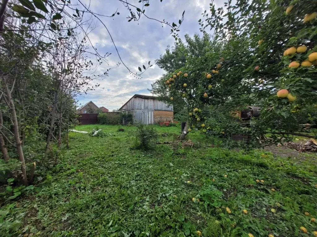 Участок в Челябинская область, Чебаркульский муниципальный округ, д. ... - Фото 1