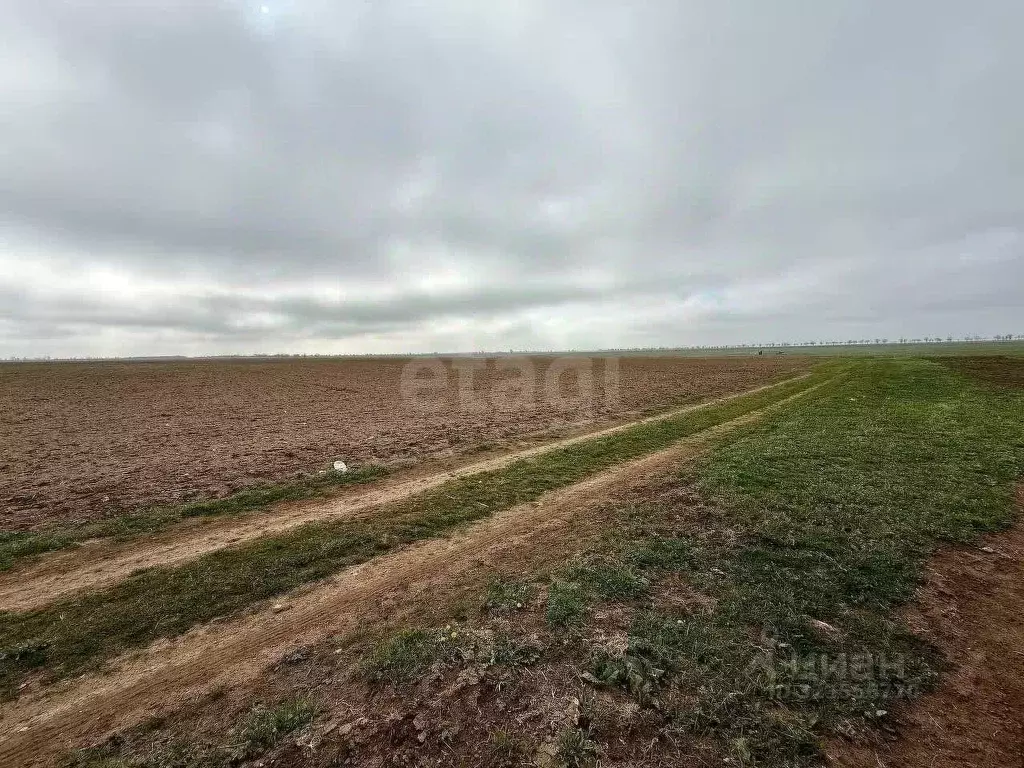 Участок в Крым, Сакский район, Штормовское с/пос, с. Приветное  (6.0 ... - Фото 1