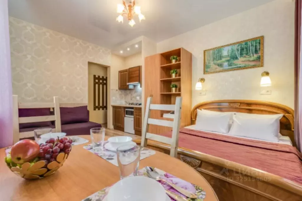 1-к кв. Санкт-Петербург 4-я Красноармейская ул., 9/9 (23.0 м) - Фото 2