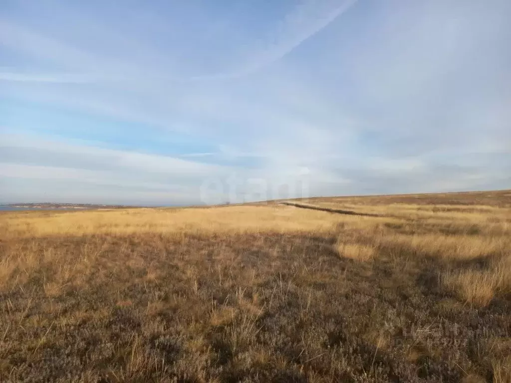 Участок в Крым, Ленинский район, с. Калиновка ул. Абденановой (50.0 ... - Фото 1