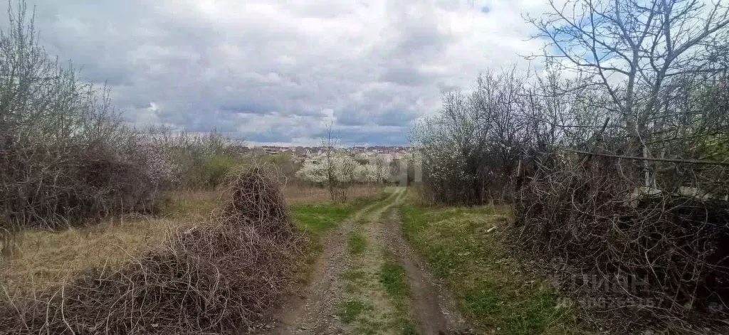 Участок в Белгородская область, Губкин Журавушка СТ,  (6.0 сот.) - Фото 0