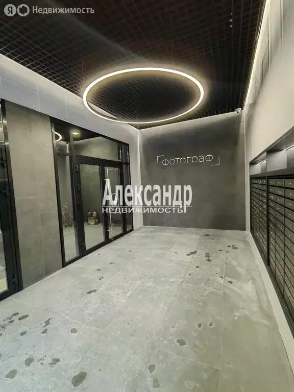 Квартира-студия: Мурино, Ручьёвский проспект, 1/24 (28.3 м) - Фото 2