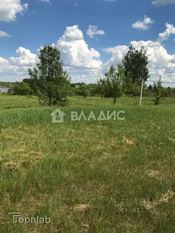 Участок в Тамбовская область, Тамбовский муниципальный округ, с. ... - Фото 2