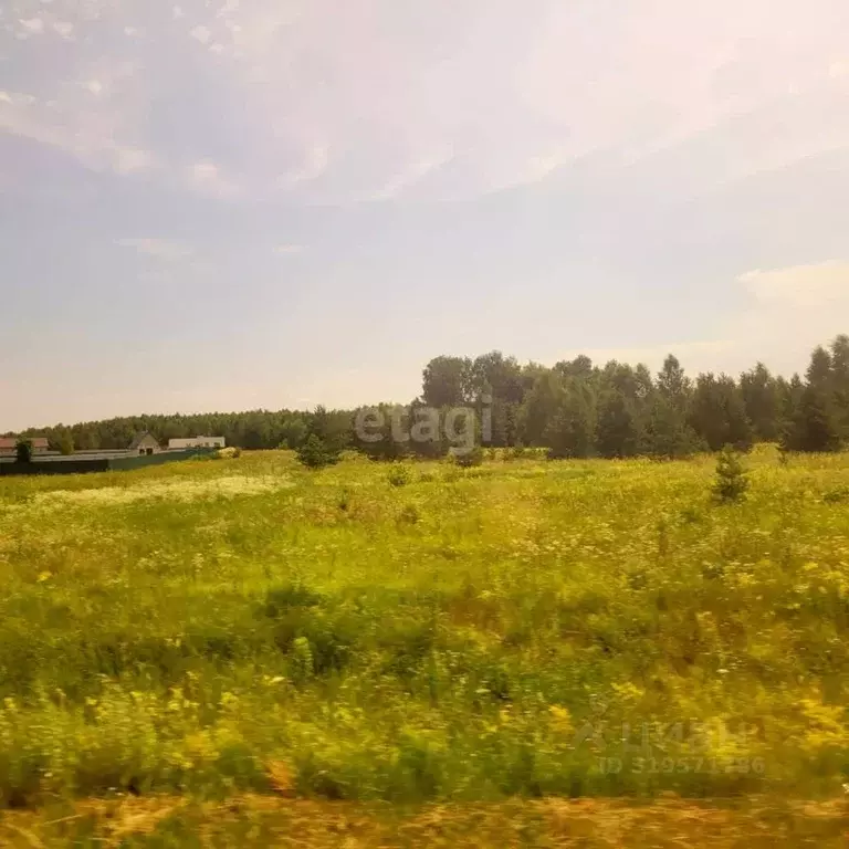 Участок в Владимирская область, Муром д. Коржавино, ул. Лесная, 8 ... - Фото 1