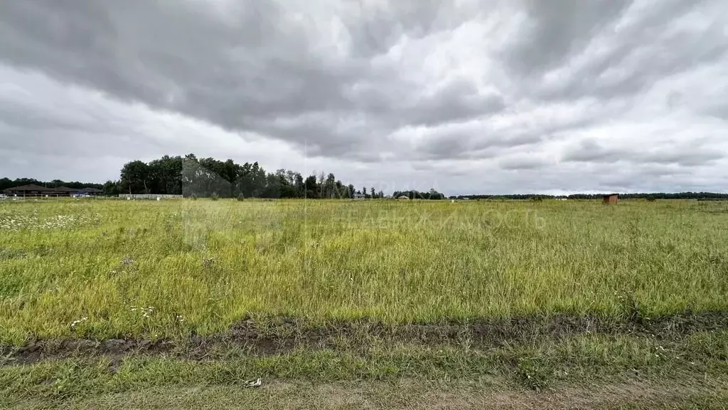 Участок в Тюменская область, Тюменский муниципальный округ, ... - Фото 1