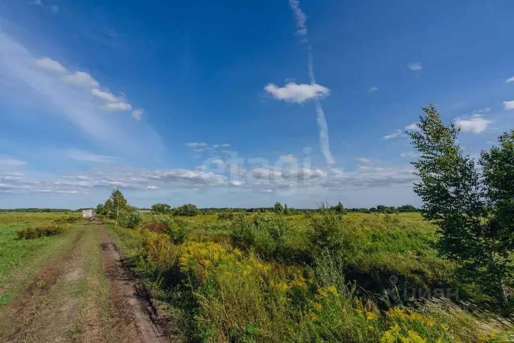 Участок в Хабаровский край, Хабаровский район, Тополевское с/пос, с. ... - Фото 1