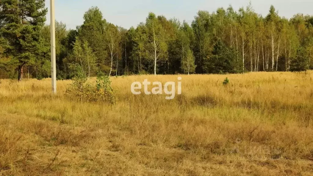 Участок в Владимирская область, Покров городской округ, д. Плотавцево  ... - Фото 2