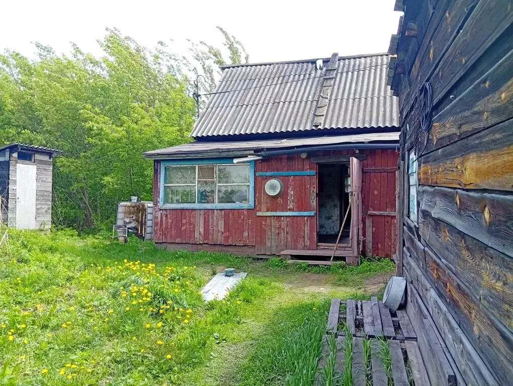 Дом в Новоалтайск, Рыбальная улица, 38 (25.8 м) - Фото 2