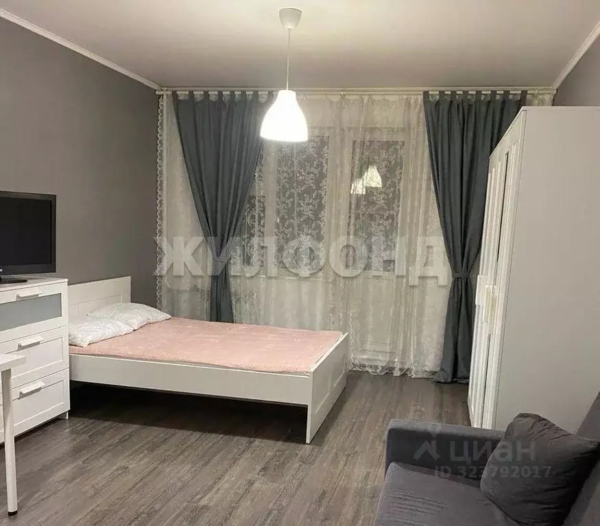 1-к кв. Новосибирская область, Новосибирск ул. Фадеева, 66/9 (27.7 м) - Фото 1