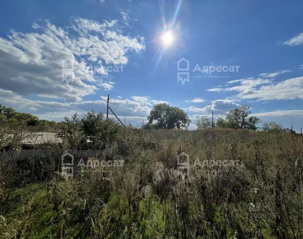 участок в волгоградская область, среднеахтубинский район, кировское . - Фото 1