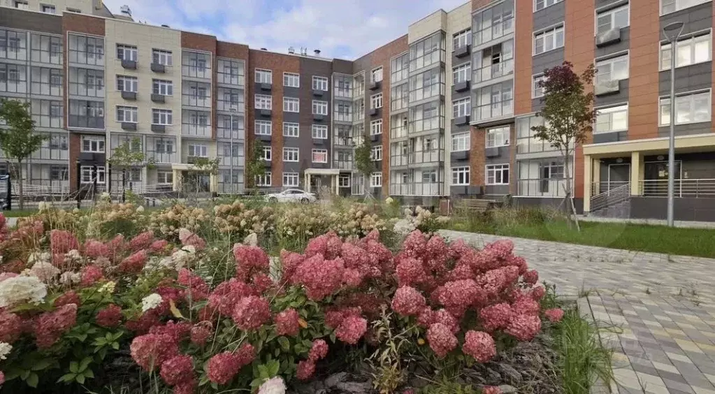 3-к кв. Москва, Москва, Троицк ул. Академика Дыхне, 16 (82.0 м) - Фото 2