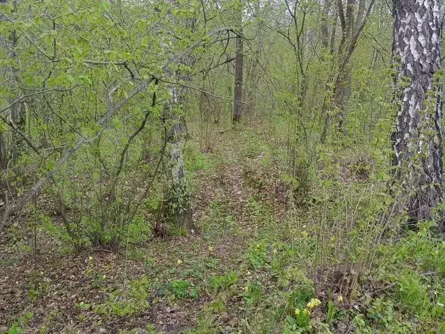 Участок в Калужская область, Дзержинский район, Льва Толстого с/пос, ... - Фото 2