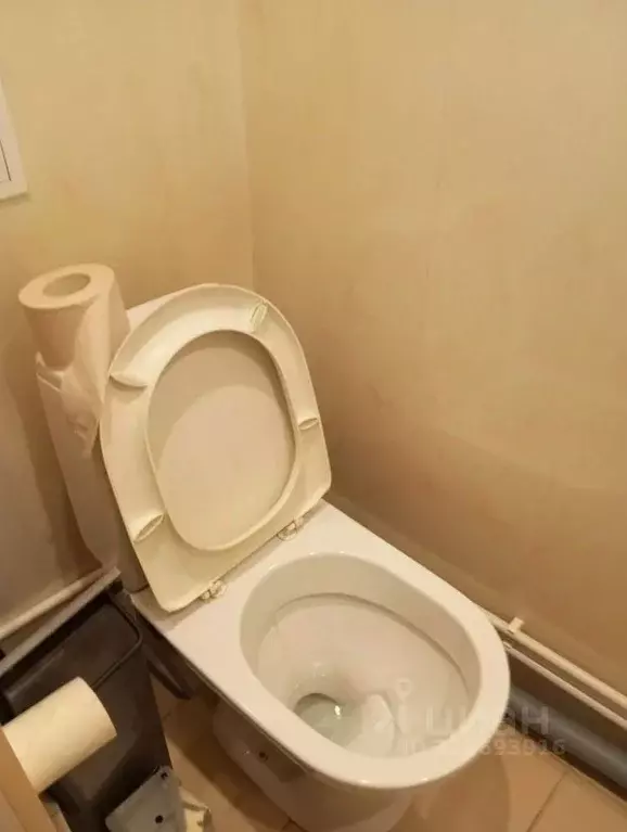 Студия Красноярский край, Красноярск ул. Королева, 13 (14.0 м) - Фото 2