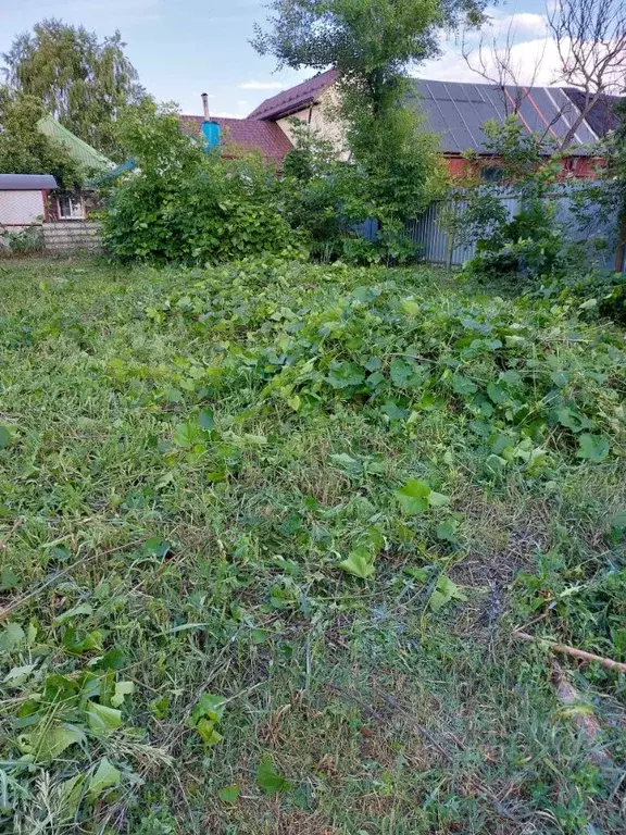 Участок в Воронежская область, Воронеж Деповская ул., 28 (8.0 сот.) - Фото 0