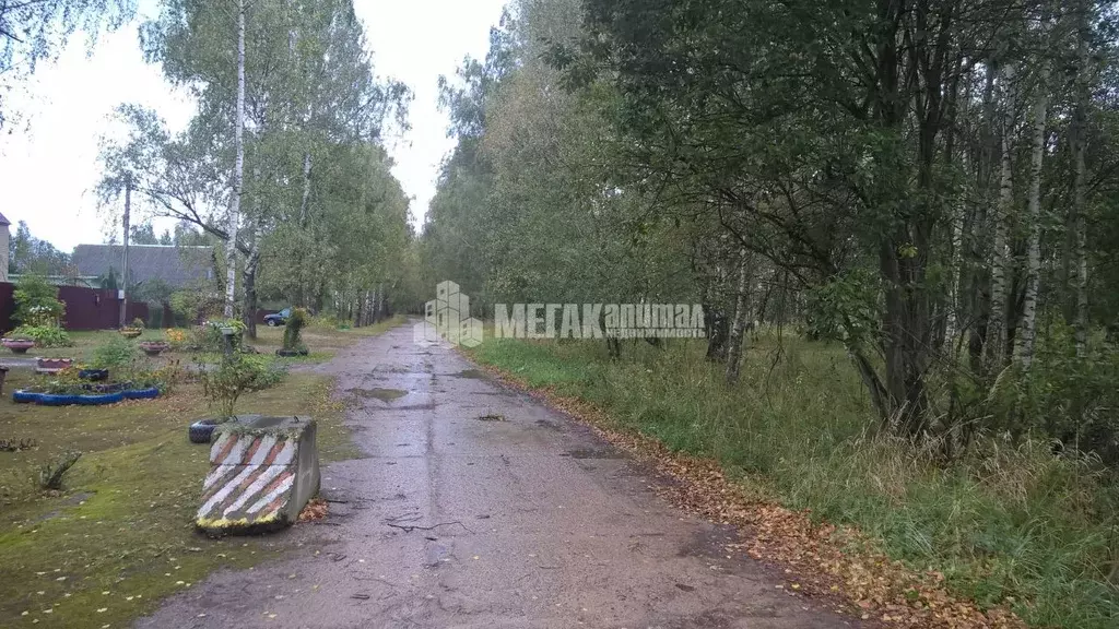 Участок в Брянская область, Выгоничский район, Орменское с/пос, пос. ... - Фото 1