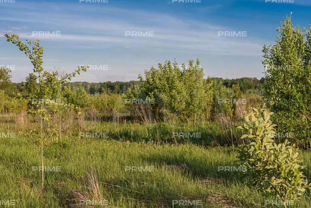 Участок 15,6 сот. (ИЖС) - Фото 1