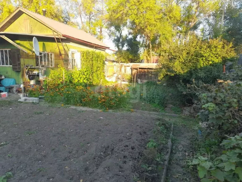 Дом в Амурская область, Благовещенск Загородная ул., 28 (39 м) - Фото 1