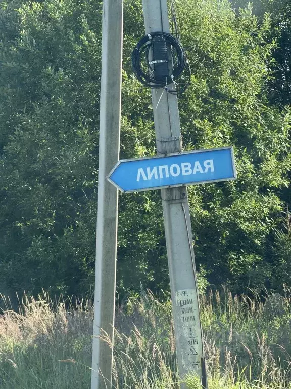 Участок в Москва д. Юрьево, ул. Липовая (10.0 сот.) - Фото 1