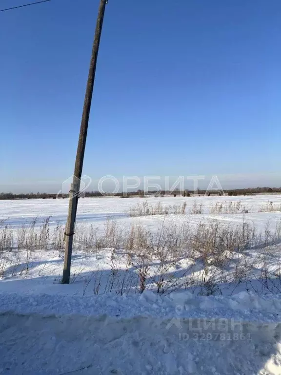 Участок в Тюменская область, Тюменский муниципальный округ, Согласие ... - Фото 1
