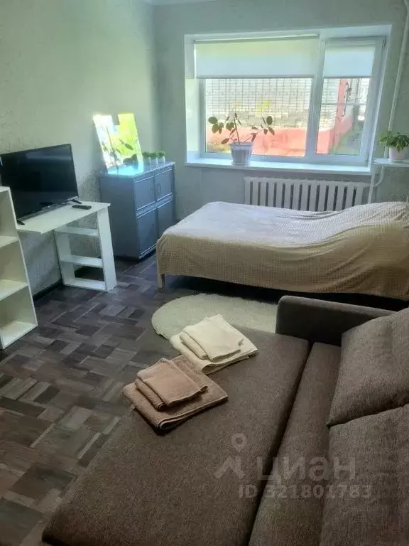1-к кв. Новгородская область, Старая Русса Профсоюзная ул., 6 (30.0 м) - Фото 1
