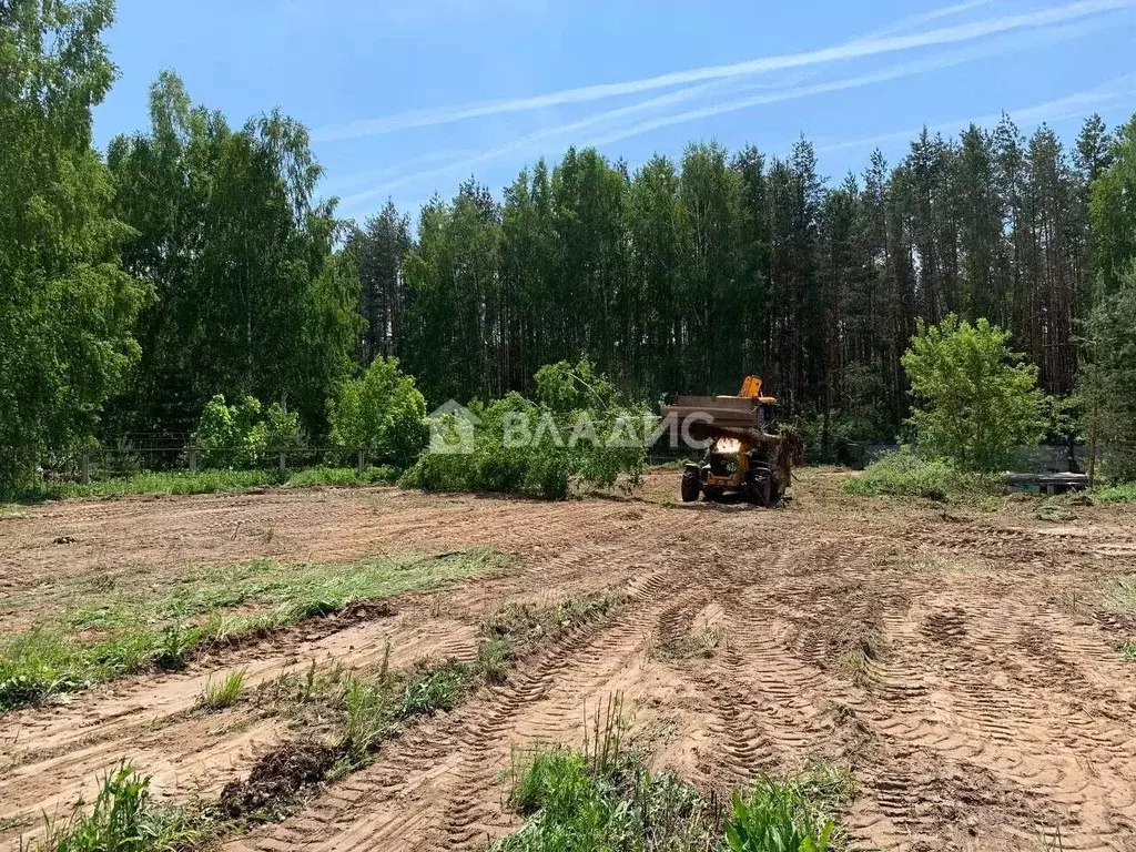 Участок в Нижегородская область, Богородский муниципальный округ, ... - Фото 0