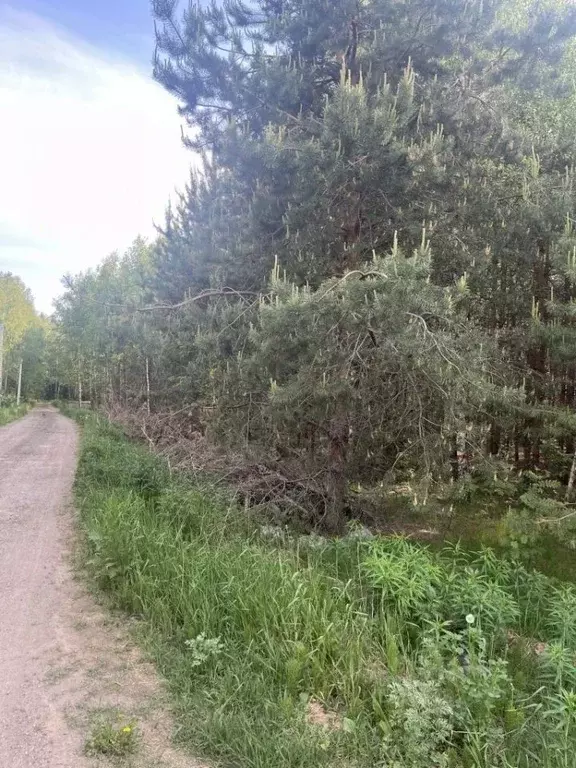 Коттедж в Нижегородская область, Городецкий муниципальный округ, д. ... - Фото 2