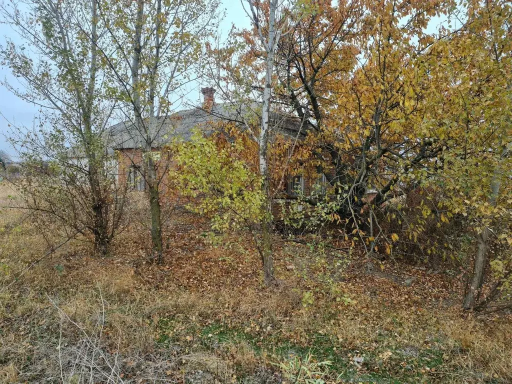 Дом в Ростовская область, Неклиновский район, Андреево-Мелентьевское ... - Фото 1