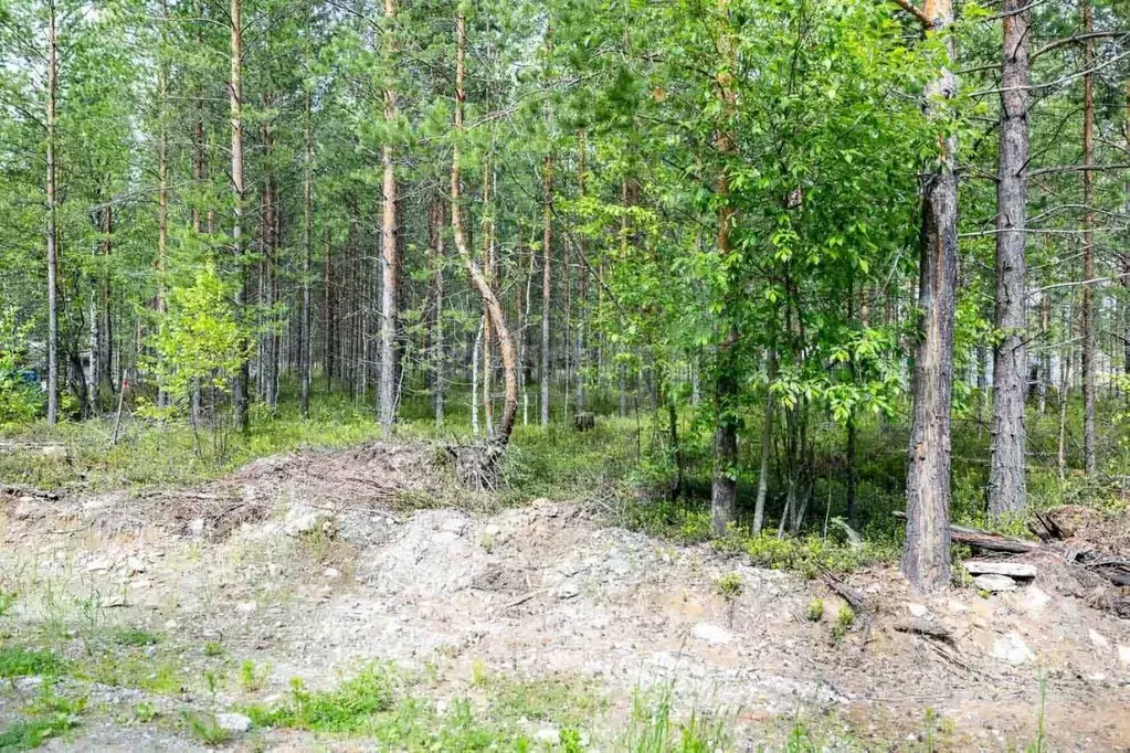 Участок в Ханты-Мансийский АО, Сургутского муниципального района тер., ... - Фото 1