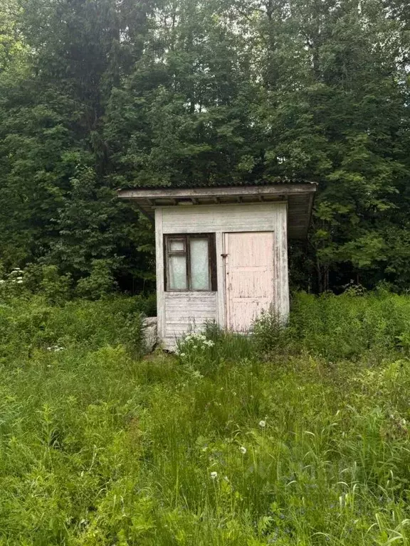 Участок в Ленинградская область, Выборгский район, Рощинское городское ... - Фото 2