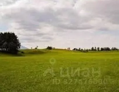 Участок в Калининградская область, Багратионовский муниципальный ... - Фото 1