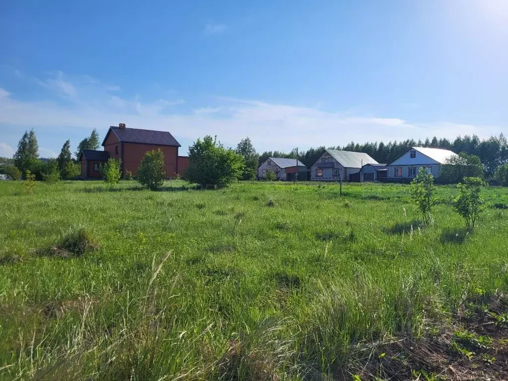 Участок в Татарстан, Тетюши ул. Новаторов (12.0 сот.) - Фото 1