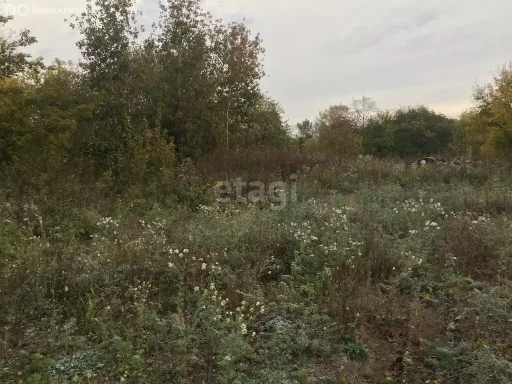 Участок в село Николо-Павловское, Сосновая улица (18.6 м) - Фото 0