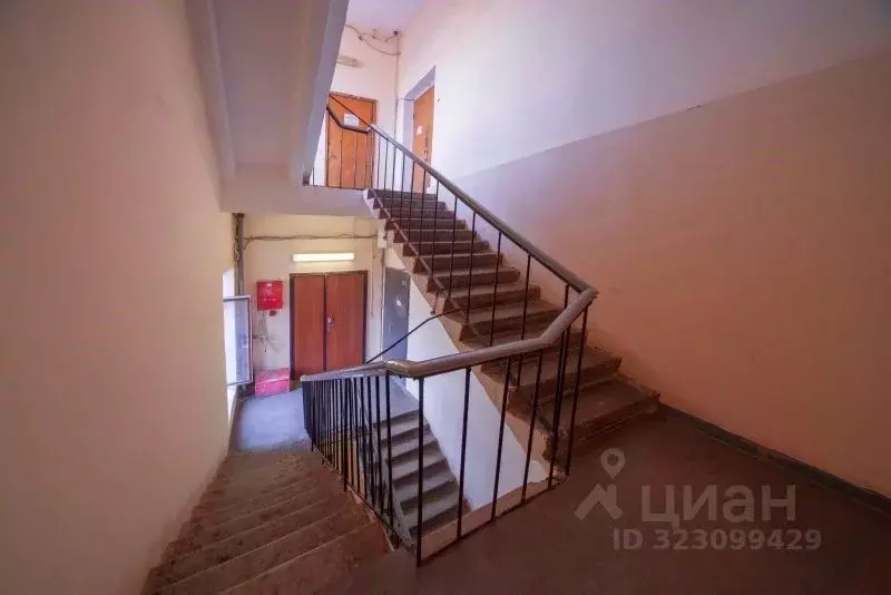 Склад в Санкт-Петербург Промышленная ул., 5 (241 м) - Фото 2