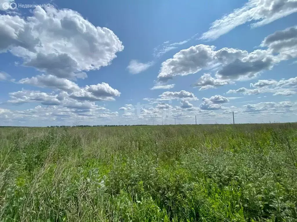 Участок в деревня Малиновка 1-я, Янтарная улица (10 м) - Фото 1