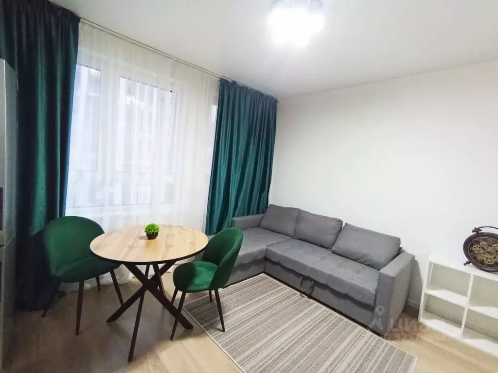 Студия Московская область, Домодедово городской округ, с. Ям ул. ... - Фото 2