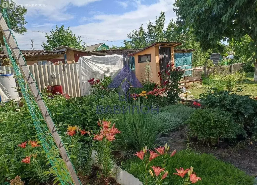 Дом в станица Романовская, улица Ленина (38.4 м) - Фото 2