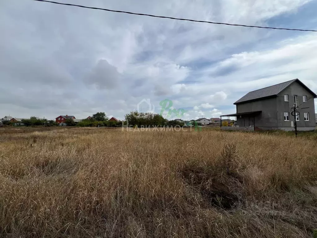 Участок в Краснодарский край, Ейский район, Александровское с/пос, с. ... - Фото 2