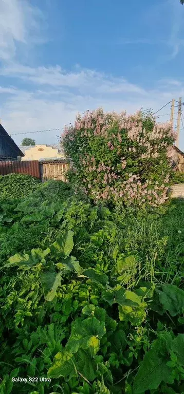 Участок 11 сот. (ИЖС) - Фото 0