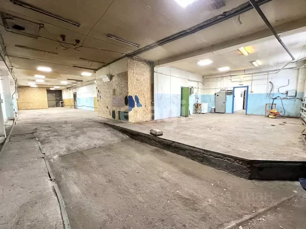 Помещение свободного назначения в Новосибирская область, Новосибирск ... - Фото 1