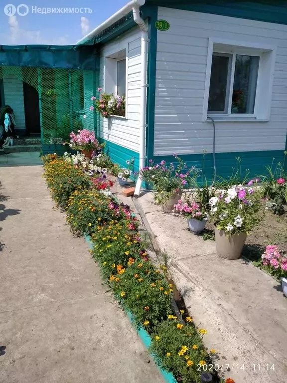 Дом в Новопетровка, улица Стрельцова (120 м) - Фото 1