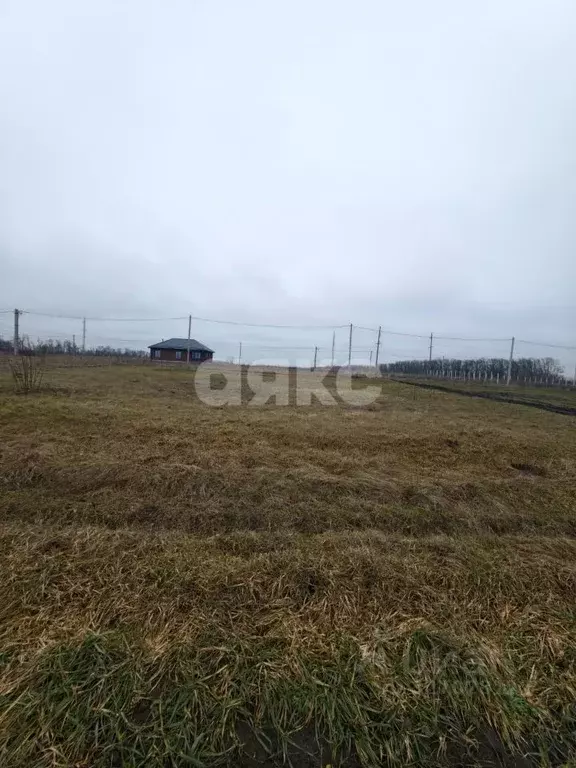 Участок в Краснодарский край, Кореновский район, Платнировское с/пос, ... - Фото 1