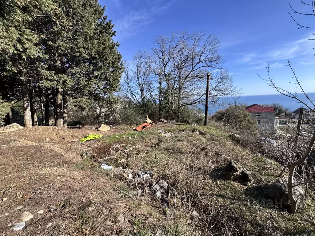 Участок в Крым, Ялта муниципальный округ, Кореиз пгт, пос. Мисхор  ... - Фото 2