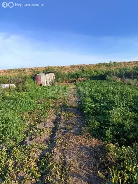 Дом в Ишим, садоводческое некоммерческое товарищество Бытовик (8 м) - Фото 0