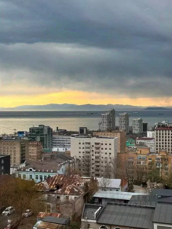 1-к кв. Приморский край, Владивосток ул. Прапорщика Комарова, 34 (25.0 ... - Фото 2