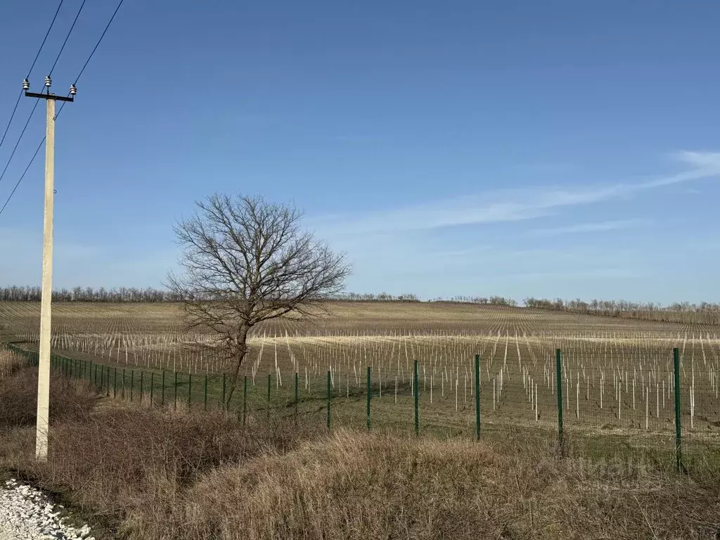 Участок в Краснодарский край, Анапа муниципальный округ, Рассвет хут. ... - Фото 2