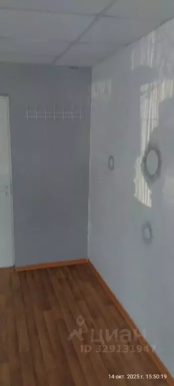 Помещение свободного назначения в Амурская область, Райчихинск ул. ... - Фото 2