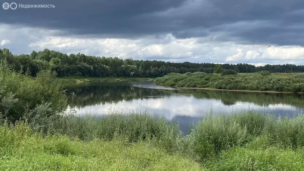 Участок в Бургинское сельское поселение, деревня Красный Бережок (203 ... - Фото 0