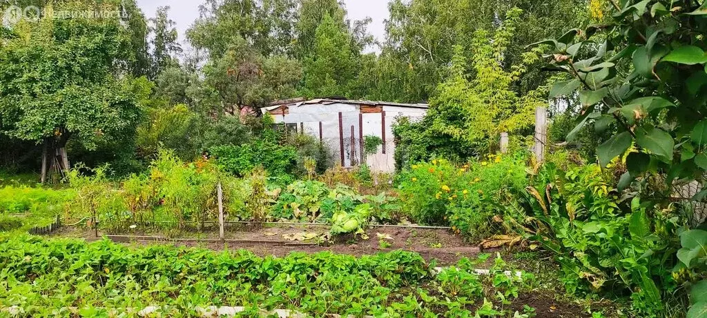 Участок в Челябинск, садовое товарищество Дружба (5.1 м) - Фото 1