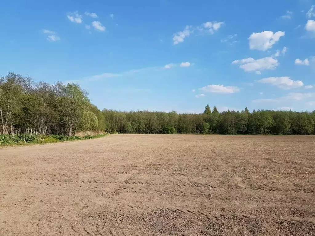 Участок в Ленинградская область, Ломоносовский район, д. Гостилицы ул. ... - Фото 1